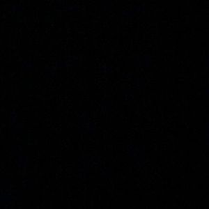 Meet your Posher, Lily